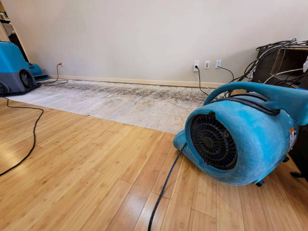 Professional Water Damage Repair technician working in Sandstone, MN